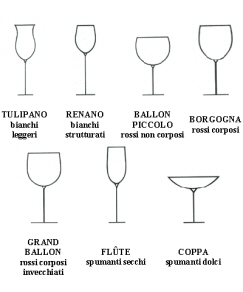 Qual è la differenza tra calici per vino bianco e rosso? - il